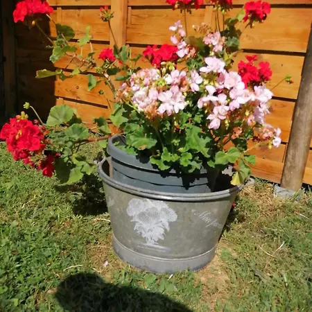 Le Verger Holiday home *