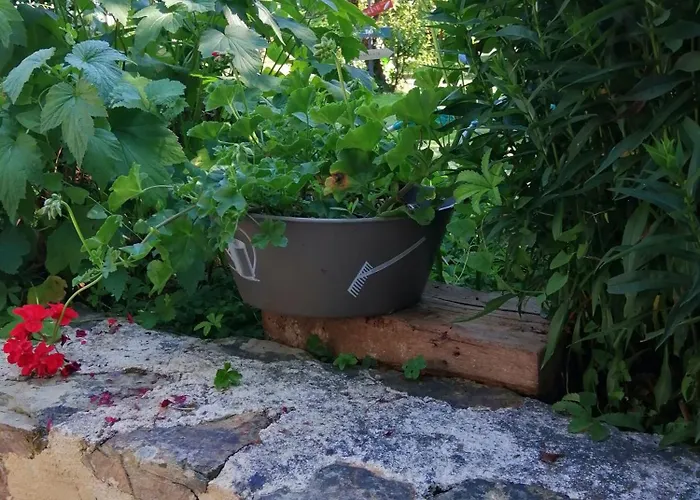 Le Verger Marigne-Peuton